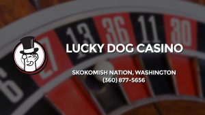 Casino & gambling-themed header image for Barons Bus Charter service to Lucky Dog Casino in Skokomish Nation, Washington. Please call 3608775656 to contact the casino directly.)