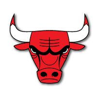 barons bus team logo chicago bulls