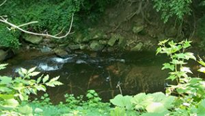 south euclid ohio charter bus transportation